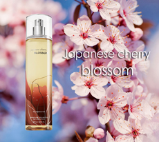 Fragrance Mist - Japanese Cherry Blossom /236ml